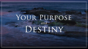 JNL - Chapter 8 - Your-Purpose-and-Destiny - NEW
